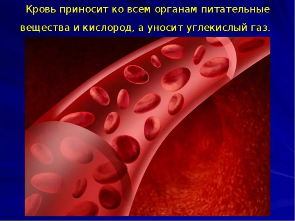 L'impatto della disidratazione sulla formazione di coaguli di sangue